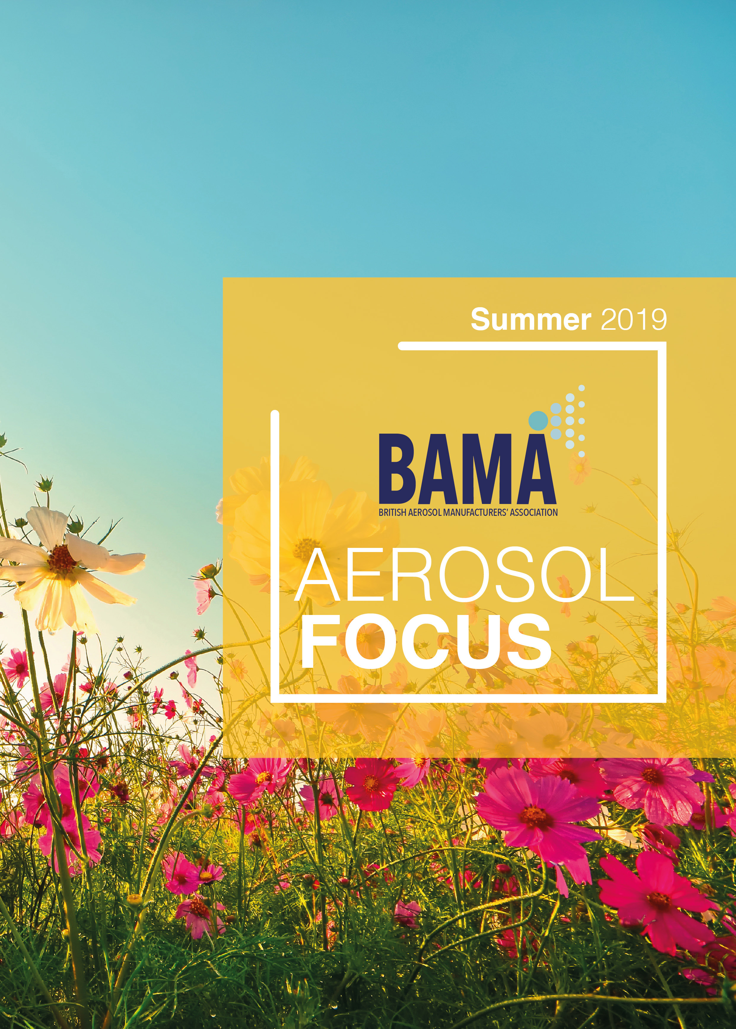 Aerosol Focus Summer 2019